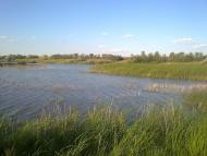 Переможне з panoramio.com