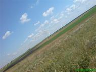 Бурячки - Останні фото