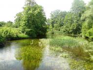 Васьки з panoramio.com