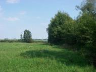 Виповзів з panoramio.com