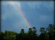 Наша Сидоровщина