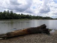 Річка Стрий