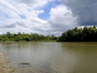 Річка Стрий