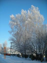 Краєвиди та життя Нової Басані