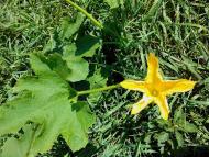 Мої Потаповичі