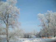 Краєвиди та життя Нової Басані