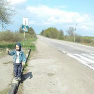 Мої Потаповичі