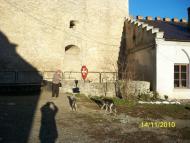 МІЖ БУГОМ І БУЖКОМ