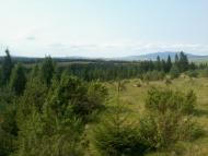 Вовче з panoramio.com