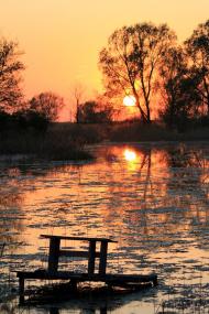 Лисівка з panoramio.com