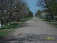 Трохимівка з panoramio.com