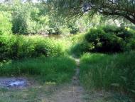 Федоренки з panoramio.com