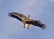 Природа края