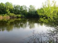 Федоренки з panoramio.com