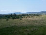 Вовче з panoramio.com