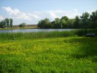 Нове з panoramio.com