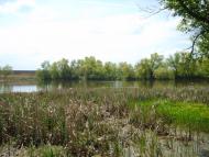 Нове з panoramio.com