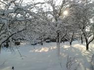 Лисівка з panoramio.com