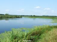 Доротище з panoramio.com