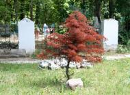 Учебне з panoramio.com