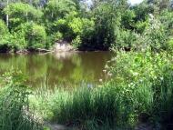 Федоренки з panoramio.com