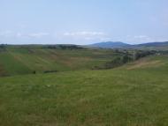 Вовче - Останні фото