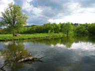 Дубова з panoramio.com