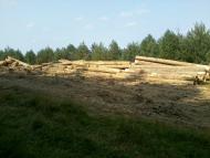 Вовче з panoramio.com