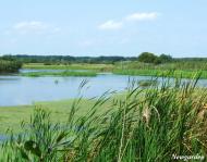 Доротище з panoramio.com