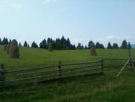 Вовче з panoramio.com