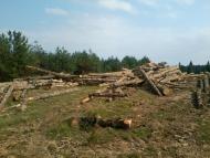 Вовче з panoramio.com