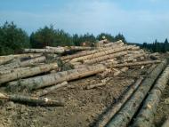 Вовче з panoramio.com