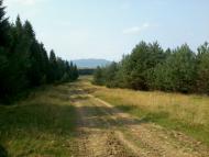 Вовче з panoramio.com