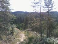 Вовче з panoramio.com