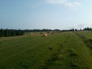 Вовче з panoramio.com