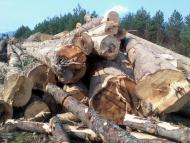 Вовче з panoramio.com