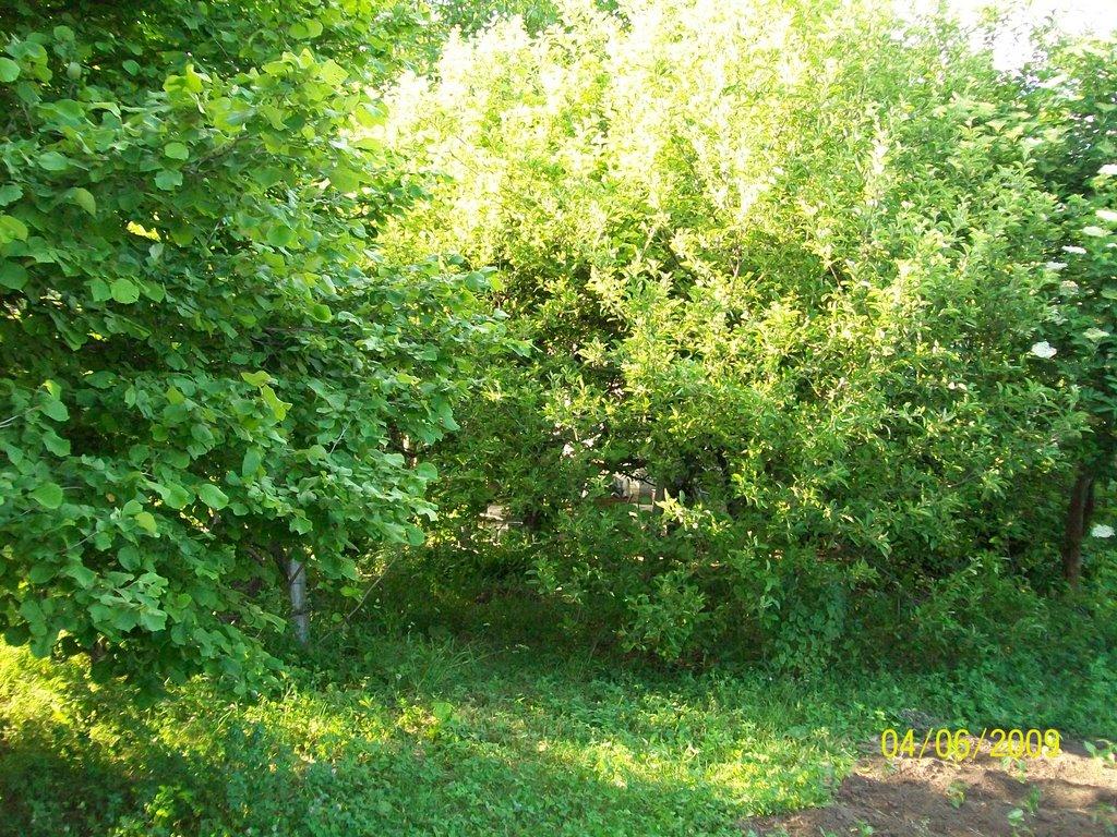 Червоний Чабан з panoramio.com - Червоний Чабан