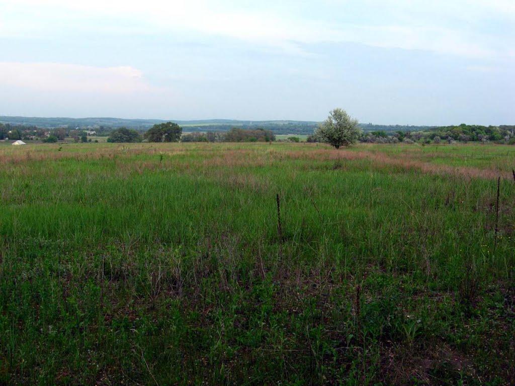 Білецьківка з panoramio.com - Белецковка