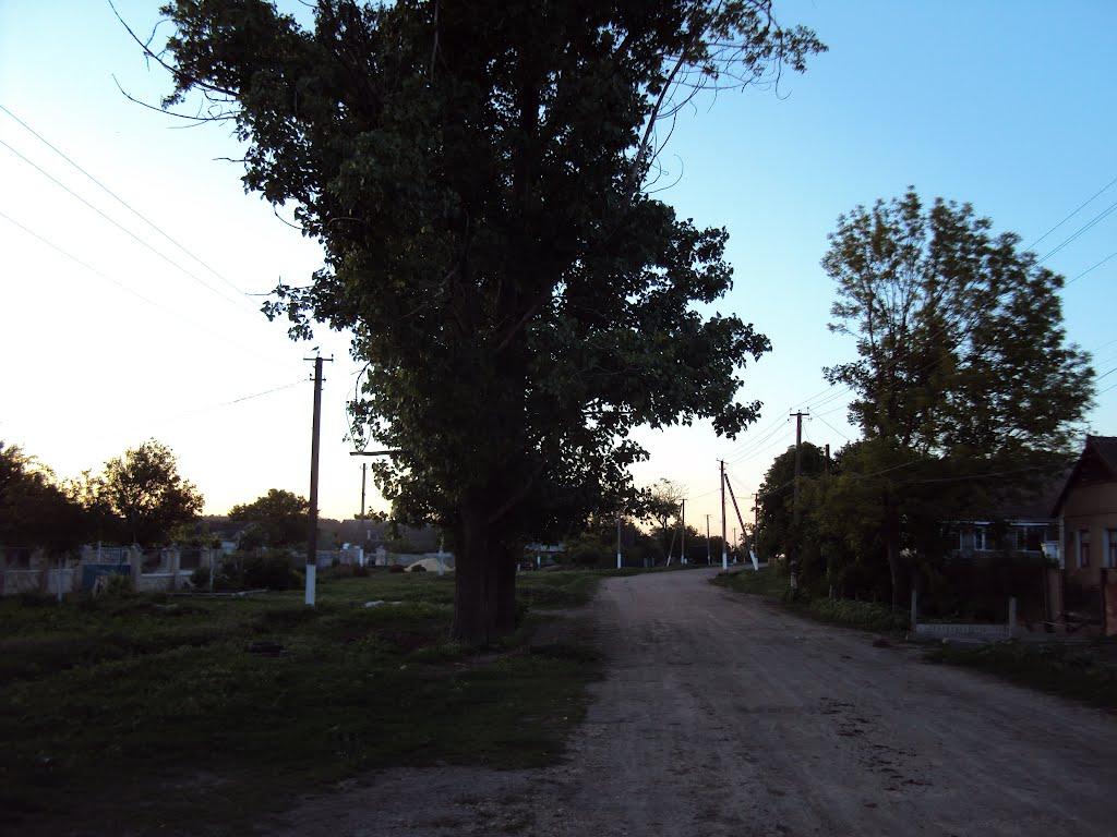 Ряснопіль з panoramio.com - Ряснопіль