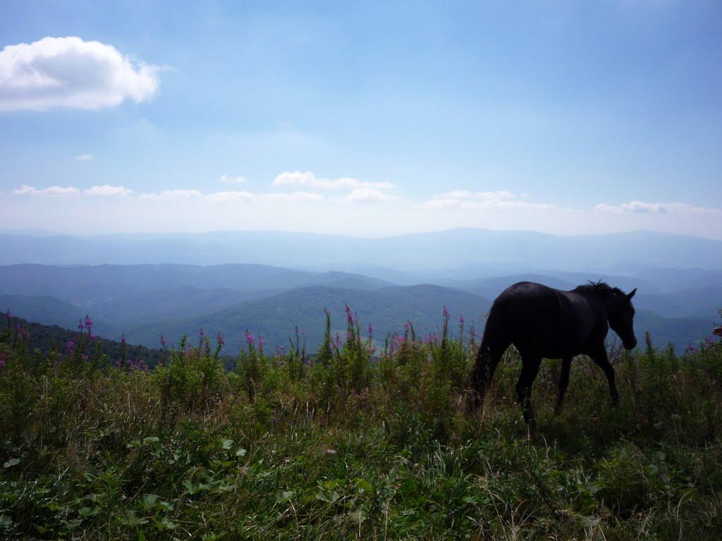 Липовець з panoramio.com - Липовец