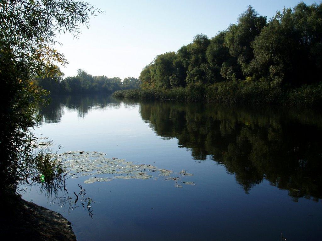 Кияшки з panoramio.com - Кияшки