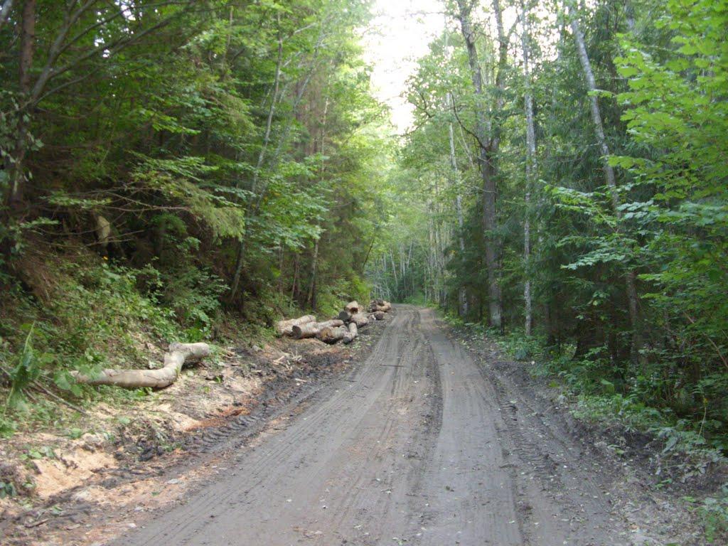 Фальків з panoramio.com (ч.2) - Фальків