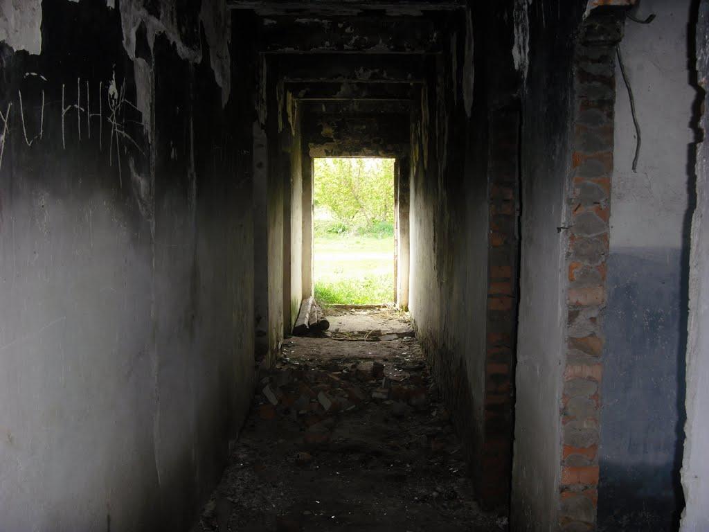 Чмикос з panoramio.com - Чмикос