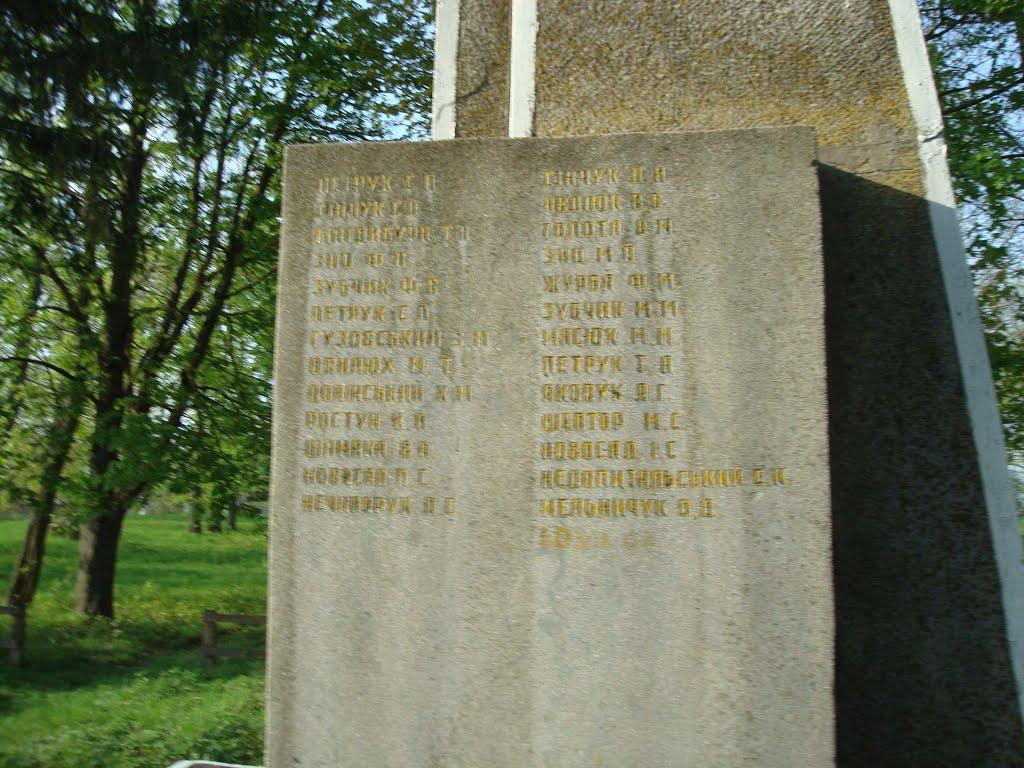 Дроздні з panoramio.com - Дроздни