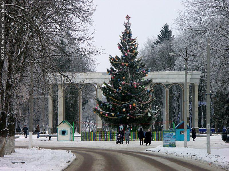 Кролевець з panoramio.com - Кролевець