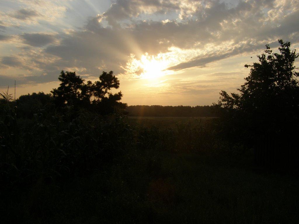 Білоцерківка з panoramio.com - Белоцерковка