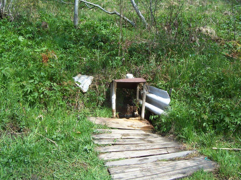 Кваси з panoramio.com - Kvasy