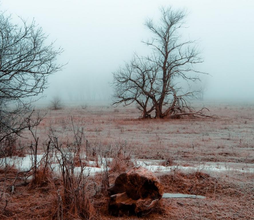 Слов'яносербськ з panoramio.com - Славяносербск