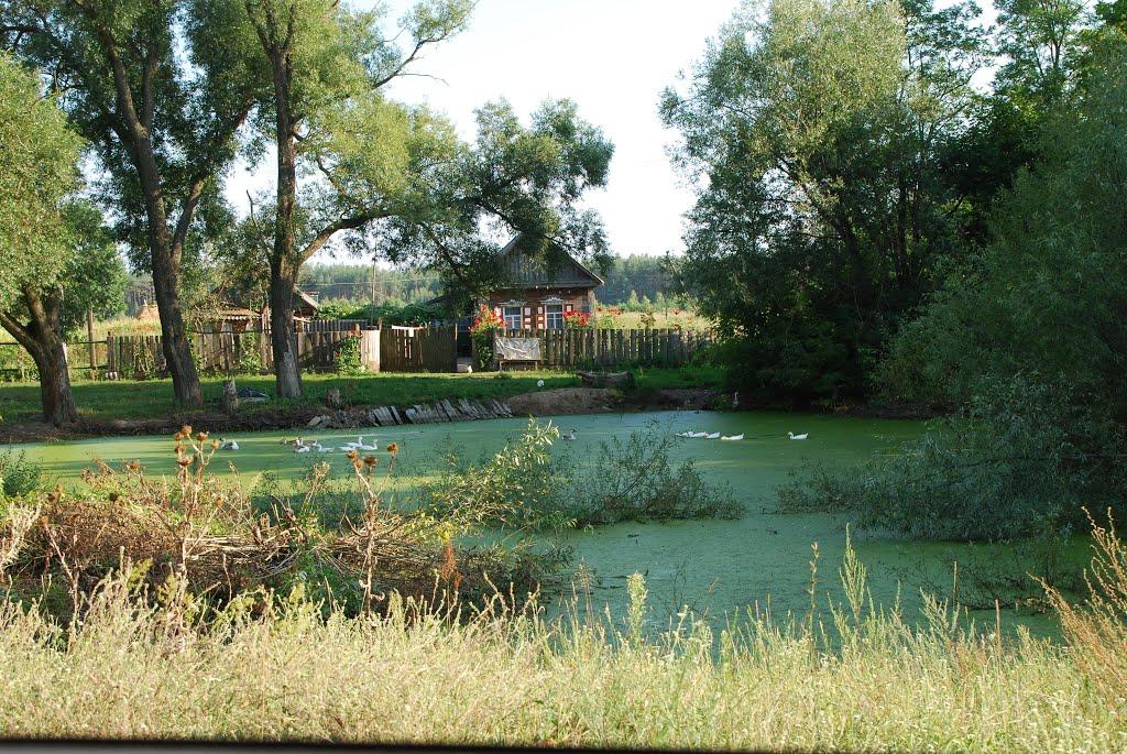 Піски з panoramio.com - Пески