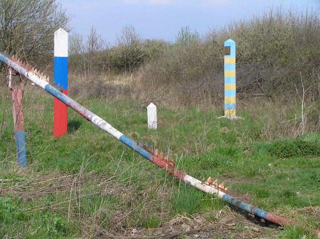 Малі Селменці з panoramio.com - Малые Селлменцы